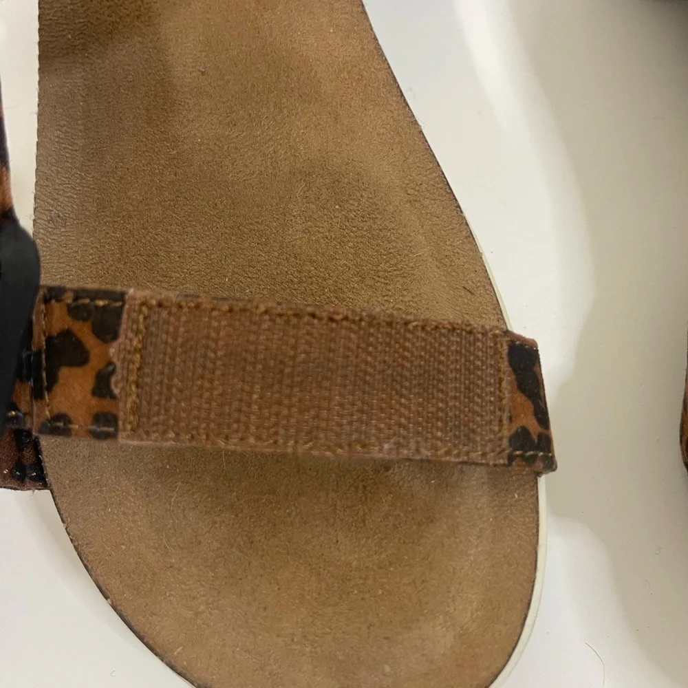 wonder nation leopard print
